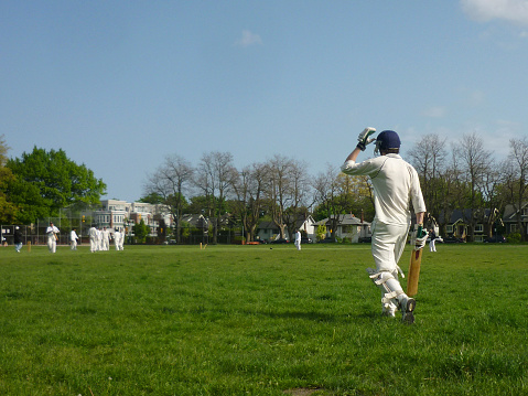 The Role of Artificial Intelligence in Refining Cricket Strategy and Performance